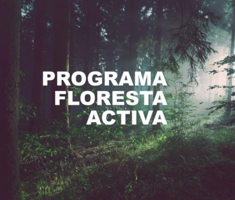 Programa Floresta Ativa