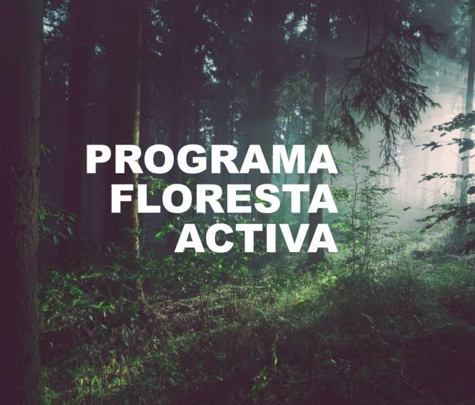 Programa Floresta Ativa
